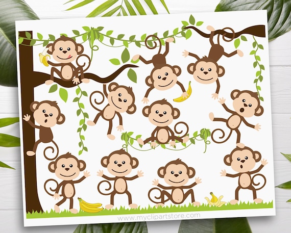 Monkey Clipart: Jungle Animals SVG, EPS, PNG (Digital Download)