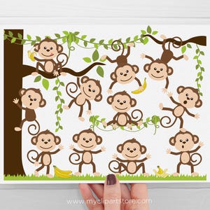 Monkey Clipart: Jungle Animals SVG, EPS, PNG (Digital Download) image 2