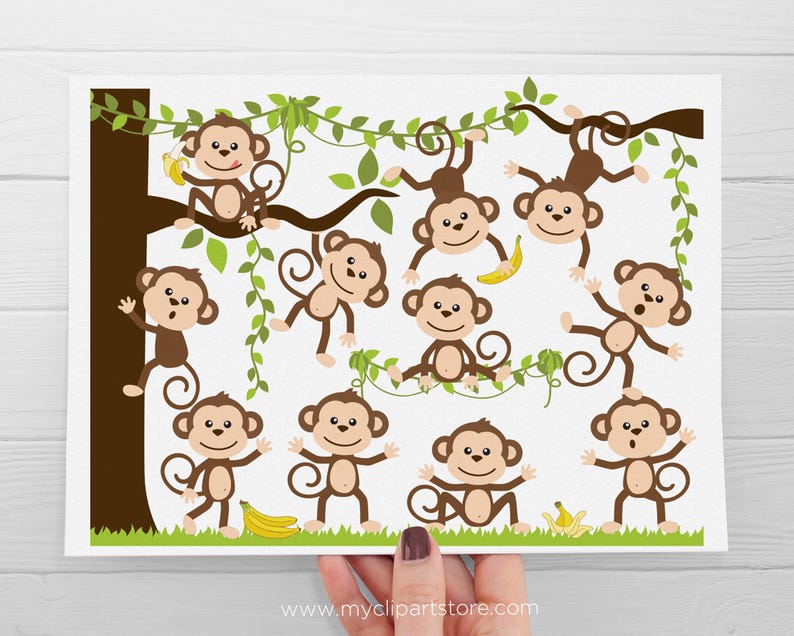 Monkey Clipart: Jungle Animals SVG, EPS, PNG (Digital Download) image 2