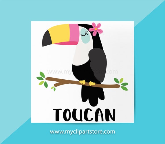 Toucan Clipart Single Tropical Birds Wildlife Forest Woodland Animals Tree Branch Commercial Use Htv Print To Cut Svg Vector Png By Myclipartstore Catch My Party