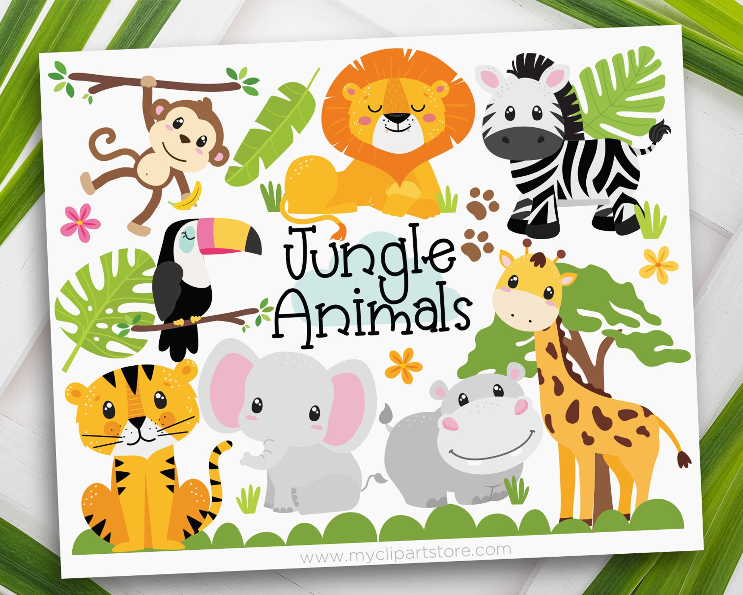 Zoo animals svg bundle Zoo Animal Clipart Safari Animals SVG Elephant