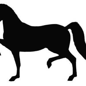 May include: Silhouette of a black horse with one leg raised, standing on a white background.