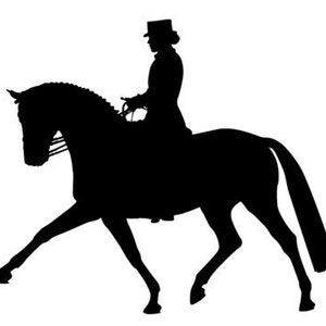 May include: Silhouette of a person riding a horse in a dressage competition. The rider is wearing a hat and the horse is in a dressage position.