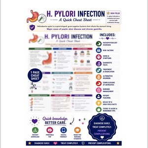 May include: A medical educational cheat sheet titled H. Pylori Infection, featuring a stomach illustration, bacteria graphic, and sections on pathophysiology, risk factors, symptoms, diagnostic tests, treatment, and nursing management for students.