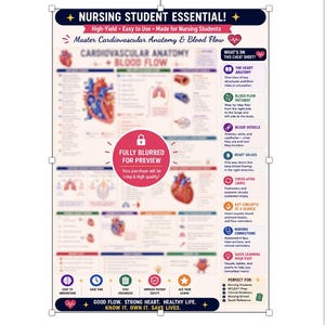 May include: A rectangular educational poster titled NURSING STUDENT ESSENTIAL! Master Cardiovascular Anatomy & Blood Flow. It features diagrams of the human heart, blood vessels, and circulation pathways with text sections explaining anatomy and clinical concepts.