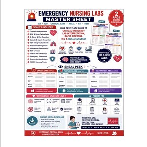 May include: A two-page digital Emergency Nursing Labs Master Sheet featuring educational content for ER, ICU, and NCLEX preparation. The document includes sections on cardiac, perfusion, and electrolyte labs, with icons, charts, and text summaries.