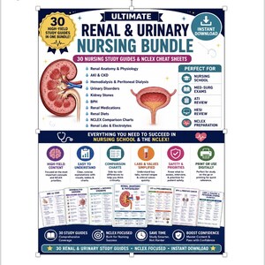Pode incluir: Um pacote de estudo de enfermagem digital intitulado Ultimate Renal & Urinary Nursing Bundle, contendo 30 guias de estudo e folhas de dicas NCLEX. O gráfico inclui ilustrações anatômicas de um rim e bexiga, listas de tópicos.