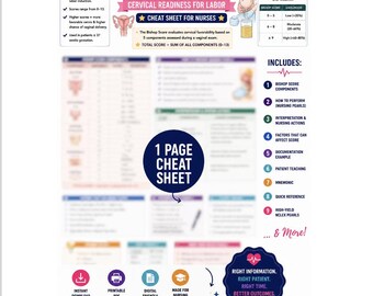 Bishop Score Nursing Study Guide | Labor & Delivery Nursing Notes | NCLEX Review PDF