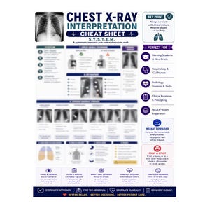 Chest X-Ray Interpretation Spickzettel | Pflegeleitfaden (PDF)