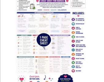 Guida di studio infermieristico sulla dieta renale / Appunti sulla nutrizione renale / PDF di ripasso per l'esame NCLEX
