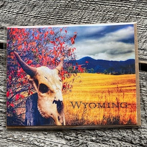Set di biglietti di auguri rustici con teschio di bisonte e foglie autunnali - Confezione da 5 biglietti fatti a mano per ogni occasione - Interno vuoto
