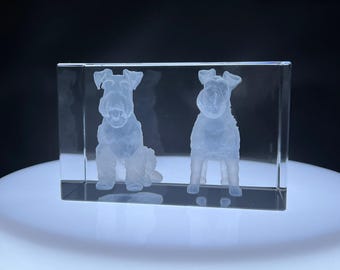 Kryształowy Sznaucer 3D Grawerowane Psy