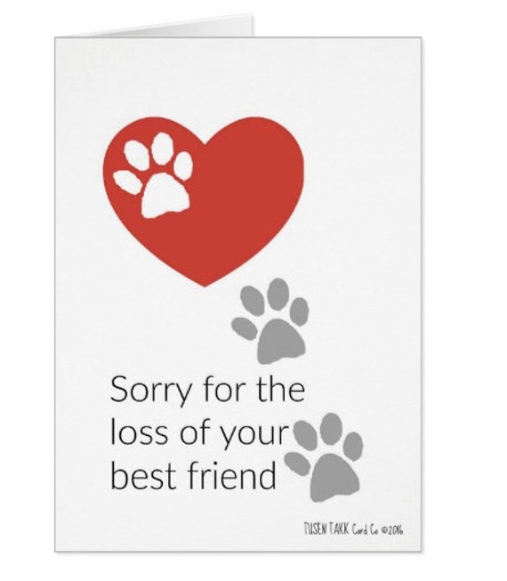 Home Furniture Diy Personalised Dog Sympathy Bereavement Pet Sorry For Your Loss Loss Of Dog Card Kisetsu System Co Jp Home Furniture Diy Personalised Dog Sympathy Bereavement Pet Sorry For Your Loss Loss Of Dog Card Kisetsu System Co Jp