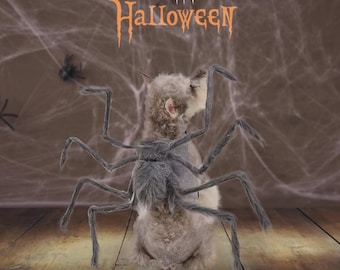 Furry Spider Pet Costume, Lightweight Dog Cat Halloween Cosplay Outfit
