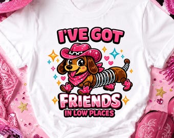 I've Got Friends In Low Places PNG, retro cowgirl hondenshirtontwerp, roze cowgirl teckel sublimatieontwerp, countryconcertshirt