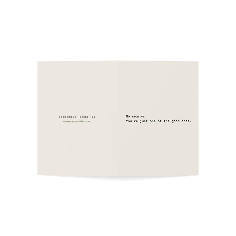 Funny Friendship Card | "No reason. You're just one of the good ones." | Deadpan Sarcastic Greeting Card, Blank Inside image 11