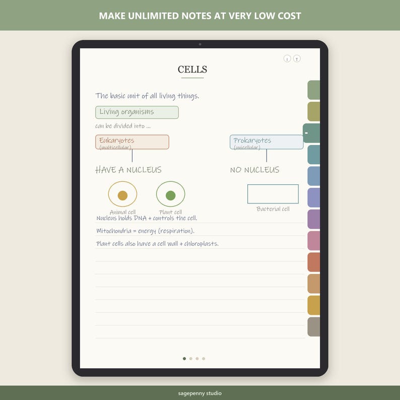 Puede incluir: Una pantalla de tableta digital que muestra una p&aacute;gina de notas de estudio de biolog&iacute;a titulada CELLS. La p&aacute;gina presenta un diagrama que explica eucariotas y procariotas, incluyendo texto sobre n&uacute;cleos, c&eacute;lulas animales, vegetales y bacterianas.