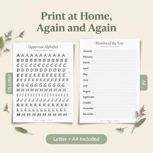 Printing Practice Workbook | Printable Handwriting Practice for Adults | 30 Page Trace & Write Alphabet and Words | Instant Download PDF imagen 8
