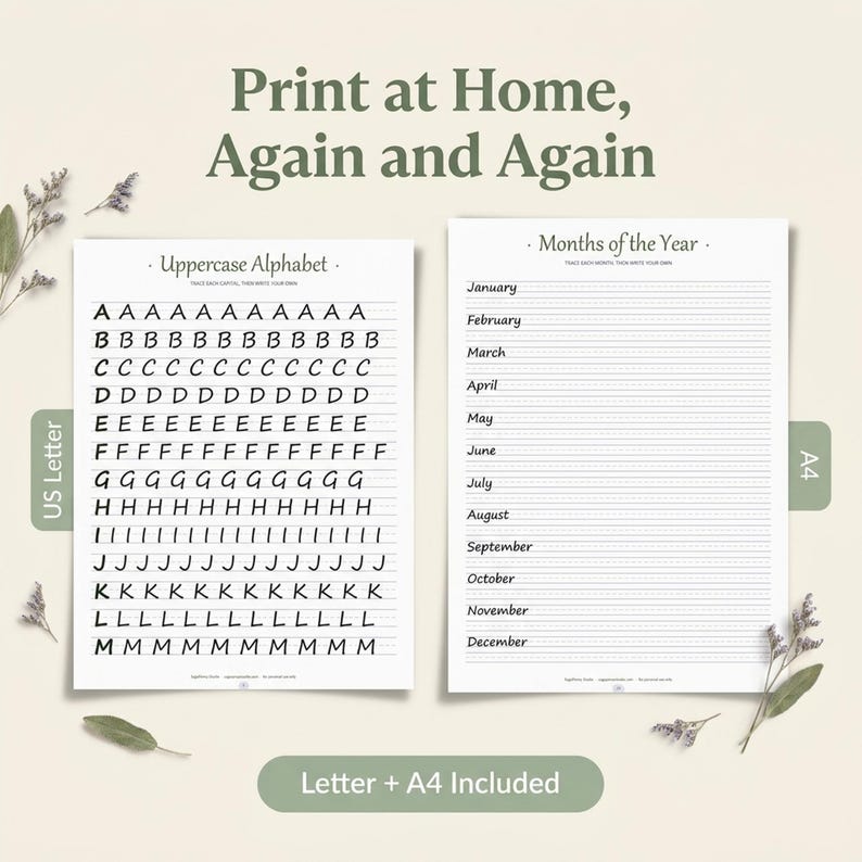 Printing Practice Workbook | Printable Handwriting Practice for Adults | 30 Page Trace & Write Alphabet and Words | Instant Download PDF imagen 8