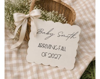 Neutral Picnic Pregnancy Announcement Background | Digital Baby Announcement Photo |