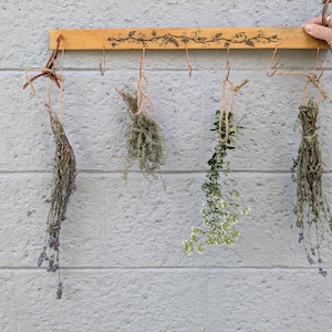 May include: A light-colored wooden rack featuring a dark, burnt-in botanical vine design across the front. The rack is equipped with seven copper-colored metal hooks, from which four distinct bundles of dried herbs are suspended by twine.