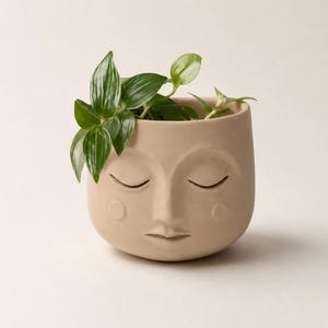 Maceta con forma de rostro en paz / Maceta con rostro impresa en 3D / Maceta adorable para plantas de interior / Maceta estilo boho / Regalo único para amantes de las plantas