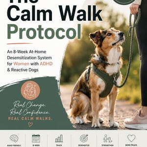 Arbetsbok för lugna promenader - Guide till reaktiv hundträning - Kopplets reaktivitet, utskrivbar PDF för nedladdning