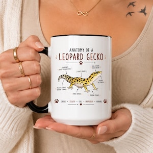 Può includere: Una tazza in ceramica bianca con manico e bordo neri, caratterizzata da un'illustrazione colorata di un geco leopardo. Il testo Anatomy of a Leopard Gecko presenta etichette che indicano parti del corpo come soul-staring vision beans.