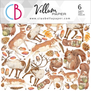 Ciao Bella Into The Wild 6" x 6" Vellum Fussy Cut Set,Craft Supplies,Card Making,Forest Animals Fussy Cut ,Fall Autumn Set, Ciao Bella Paper