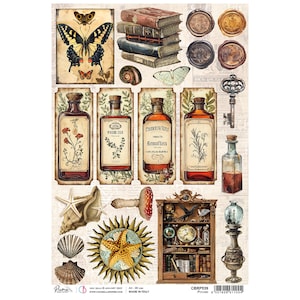 Ciao Bella Cabinet Of Curiosities A4 Rice Paper Potions Botanical Vintage ,Craft Supplies,Floral Birds,Paper,Card Making,Decoupage Paper