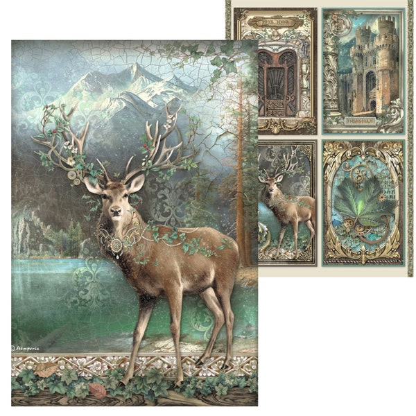 Stamperia Magical Forest Scrapbook Paper Etsy