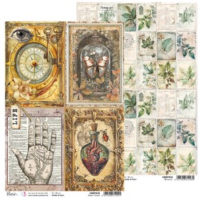 Cabinet de curiosités Ciao Bella A4 Papier de riz Botanique vintage, Fournitures créatives, Papier fleurs oiseaux roses, Fabrication de cartes, Papier de découpage