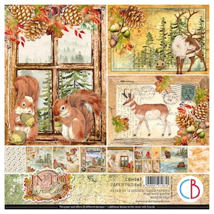 Ciao Bella Into The Wild 20 x 20 cm, Fournitures créatives, Fabrication de cartes, Ensemble de papier Animaux de la forêt Automne Ensemble de papier floral
