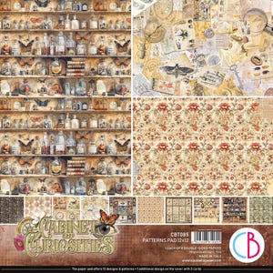 Coffret de curiosités Ciao Bella 30,5 x 30,5 cm (12 po. x 30 po.) Ensemble de papier pour scrapbooking, Fournitures créatives, Botanique, Fabrication de cartes, Fond de papier décoratif