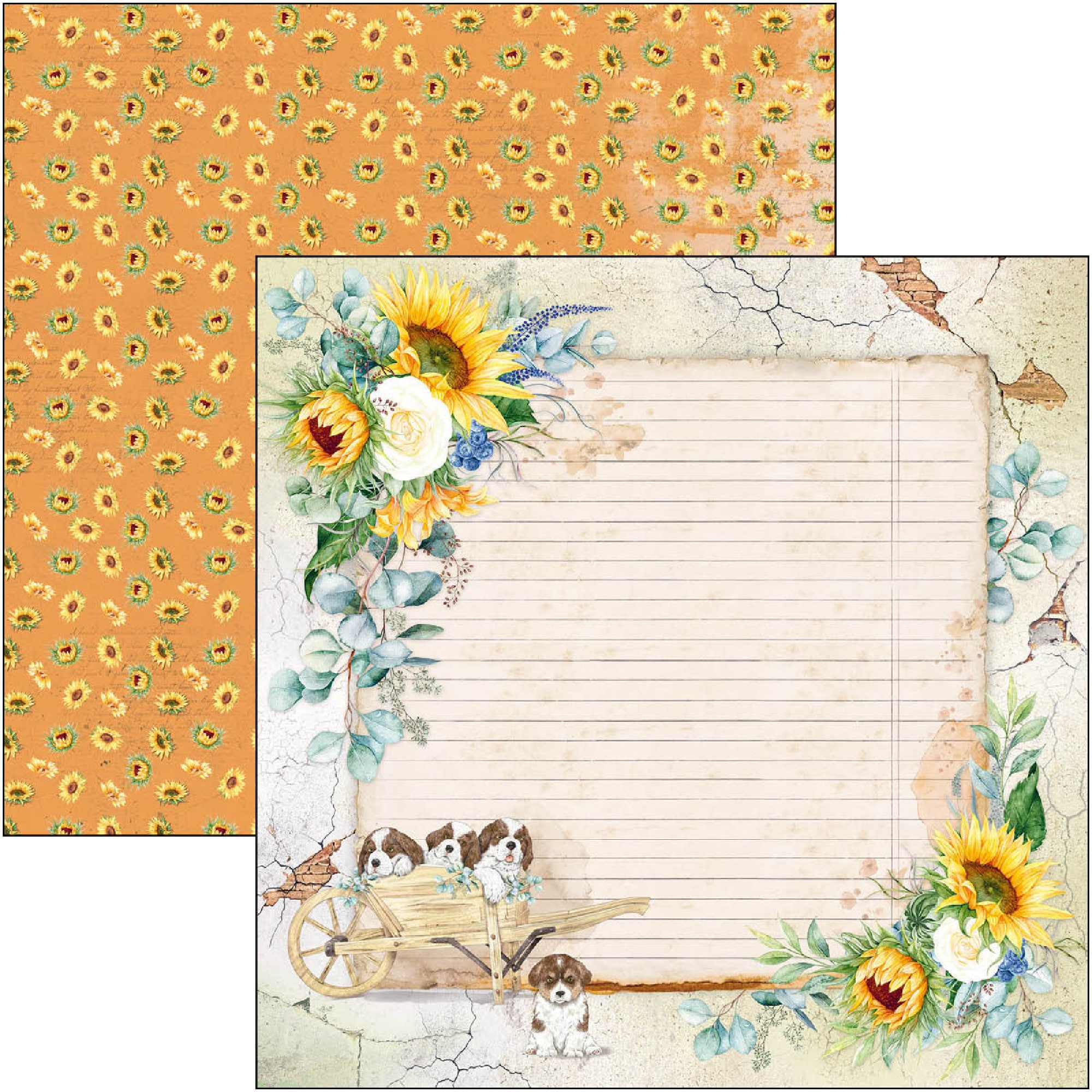 CIAO BELLA PAPER Frozen – Papel De Jardín, Taaño único, Ixto – Yaxa Guateala