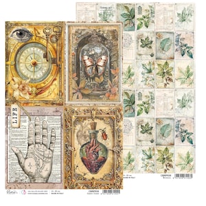 Ciao Bella Cabinet Of Curiosities A4 Rice Paper Botanical Vintage ,Craft Supplies,Floral Birds Roses Paper,Card Making,Decoupage Paper
