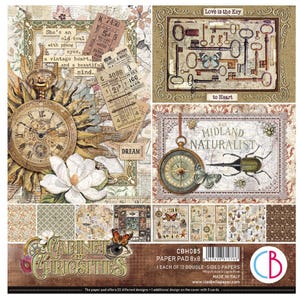 Rariteitenkabinet Ciao Bella 8 x 8 inch plakboekset, knutselspullen, kaarten maken, botanisch dubbelzijdig papier, vintage bloemenplanten