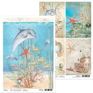 Ciao Bella Underwater Love A4 Papier de riz, Papier de riz, Papier de riz créatures marines, Fournitures créatives, Scrapbooking, Papier de riz dauphins, Papier nautique