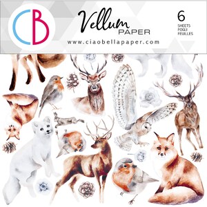 Ciao Bella Winter Journey 6" x 6" Vellum Fussy Cut Set ,Craft Supplies Winter Forest ,Collage,Card Making,Winter Animals Fussy Cutting Paper