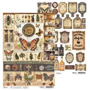 Ciao Bella Cabinet Of Curiosities A4 Rice Paper Botanical Vintage ,Craft Supplies,Floral Birds Roses Paper,Card Making,Decoupage Paper