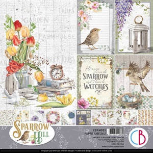 Ciao Bella Sparrow Hill 12" x 12" Scrapbooking Paper Set Floral,Garden Paper,Birds,Collage,Card Making,Craft Supplies,Papercraft,Spring
