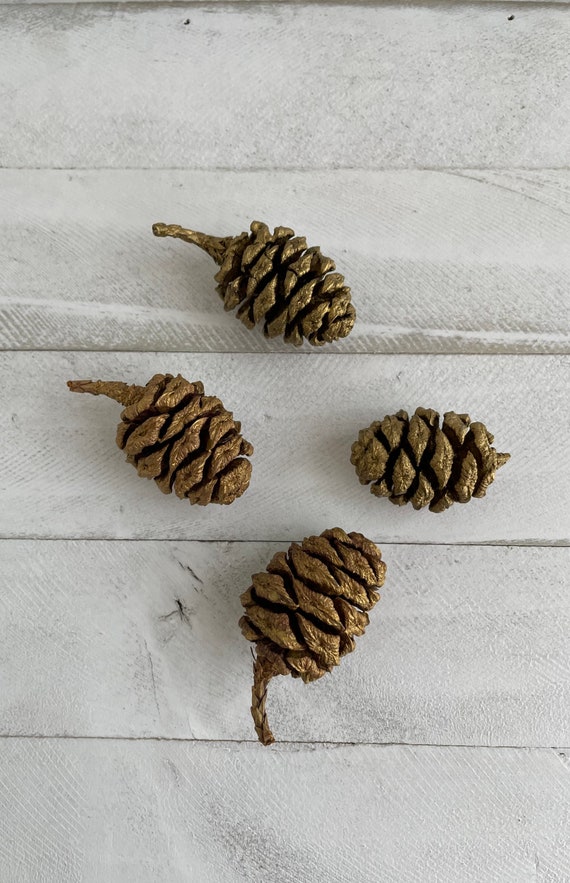 Gold Painted Mini Pine Cones Crafting Holiday Wedding Decor 