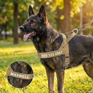 May include: A tan tactical dog harness worn by a German Shepherd, featuring a metal D-ring for a leash, a plastic buckle, and white text displaying the number 555 123 4567. An inset circle shows the harness strap with the white text MAXWELL.