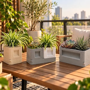 May include: A collection of three rectangular and square planters with vertical ribbed textures and recessed square or rectangular panels. The planters are beige, white, and grey, each containing various green succulents and spider plants.