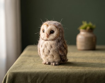 Needle Felting Kit for Beginners Owl DIY Craft Set Stress Relief Hobby Gift for Her