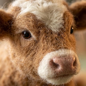 May include: A needle felted calf figurine with textured brown and white wool fibers. The sculpture features a realistic face with dark, glossy eyes, a light-colored muzzle, and a patch of white fur on the forehead, capturing the likeness of a young cow.