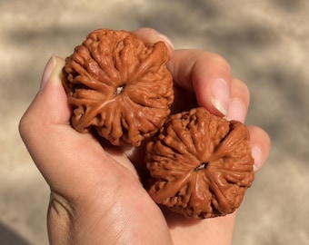 Natural Wenwan Walnut Massage Balls, Textured Hand Exercise Pair, Acupressure Meditation Fidget(35-39mm)