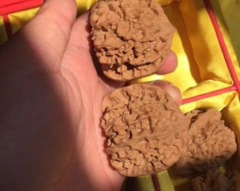 Coppia di palline da massaggio in noce Wenwan naturale di grandi dimensioni, ideali per esercizi manuali, digitopressione e meditazione (45 mm)