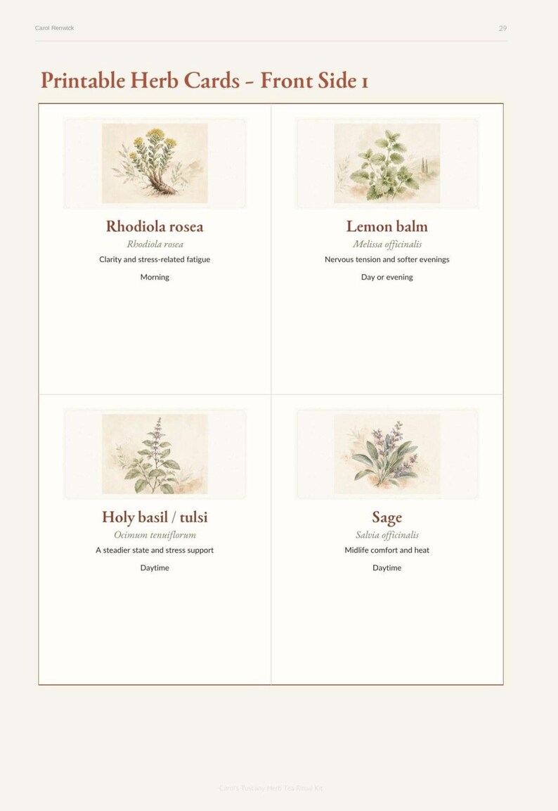 Puede incluir: Una hoja de tarjetas de hierbas imprimibles titulada Printable Herb Cards - Front Side 1, que presenta cuatro ilustraciones de hierbas: Rhodiola rosea, Lemon balm, Holy basil / tulsi y Sage, con nombres bot&aacute;nicos y texto descriptivo debajo.