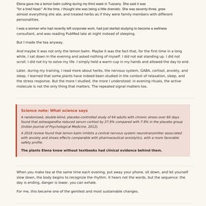 21-Tage-Selbstfürsorge-Arbeitsbuch für Frauen ab 40 | Sanftes Entspannungstagebuch (PDF) Bild 7